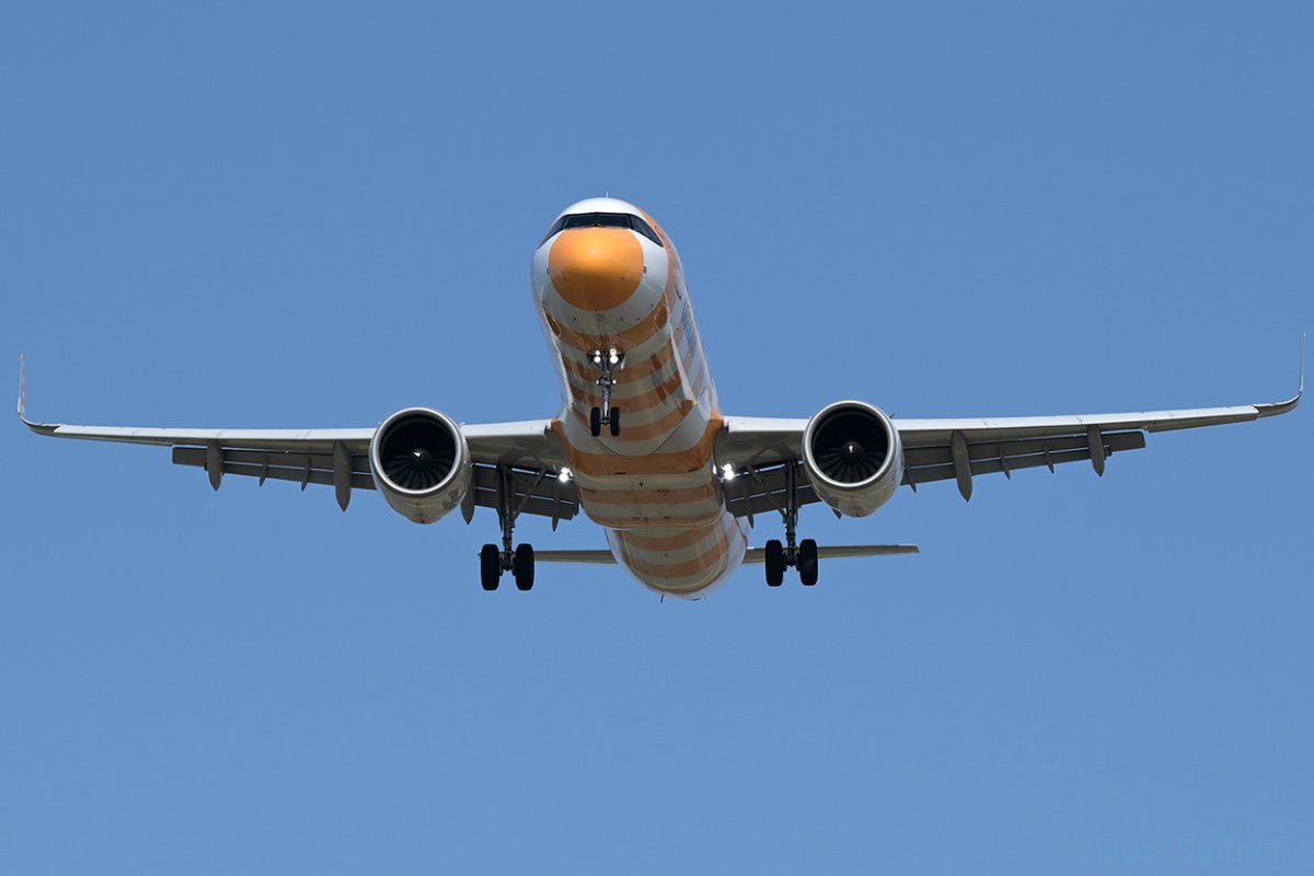 D-ANLB.1.jpg