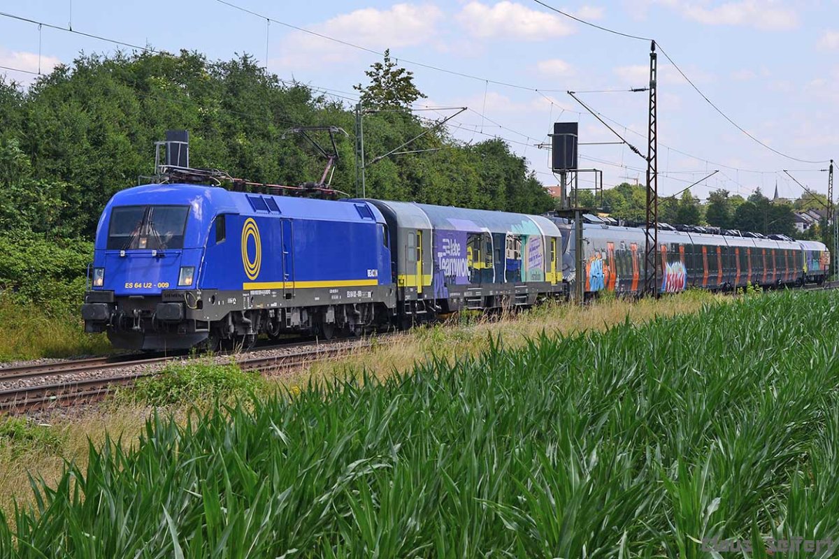182 509-0.jpg