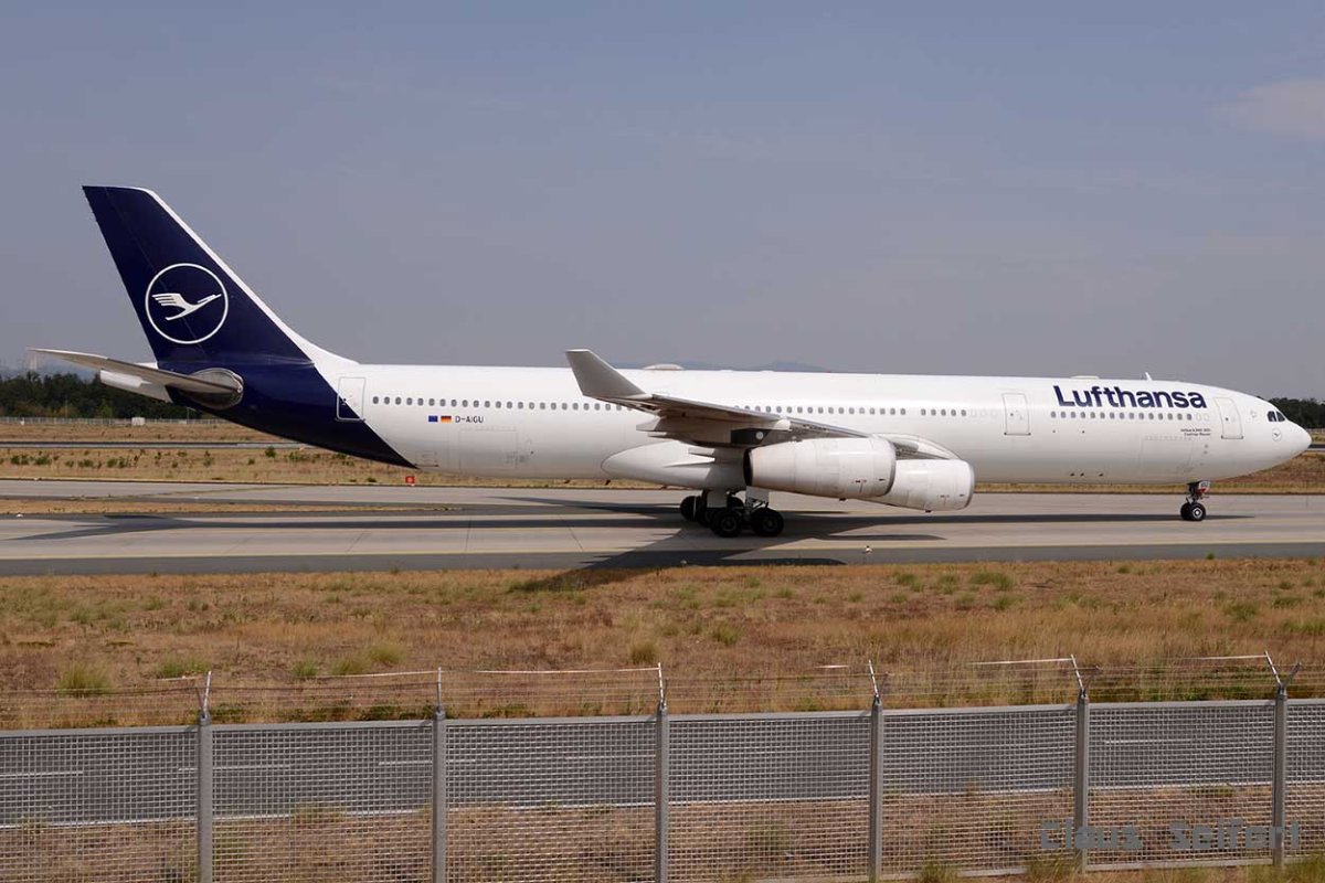 D-AIGU.jpg
