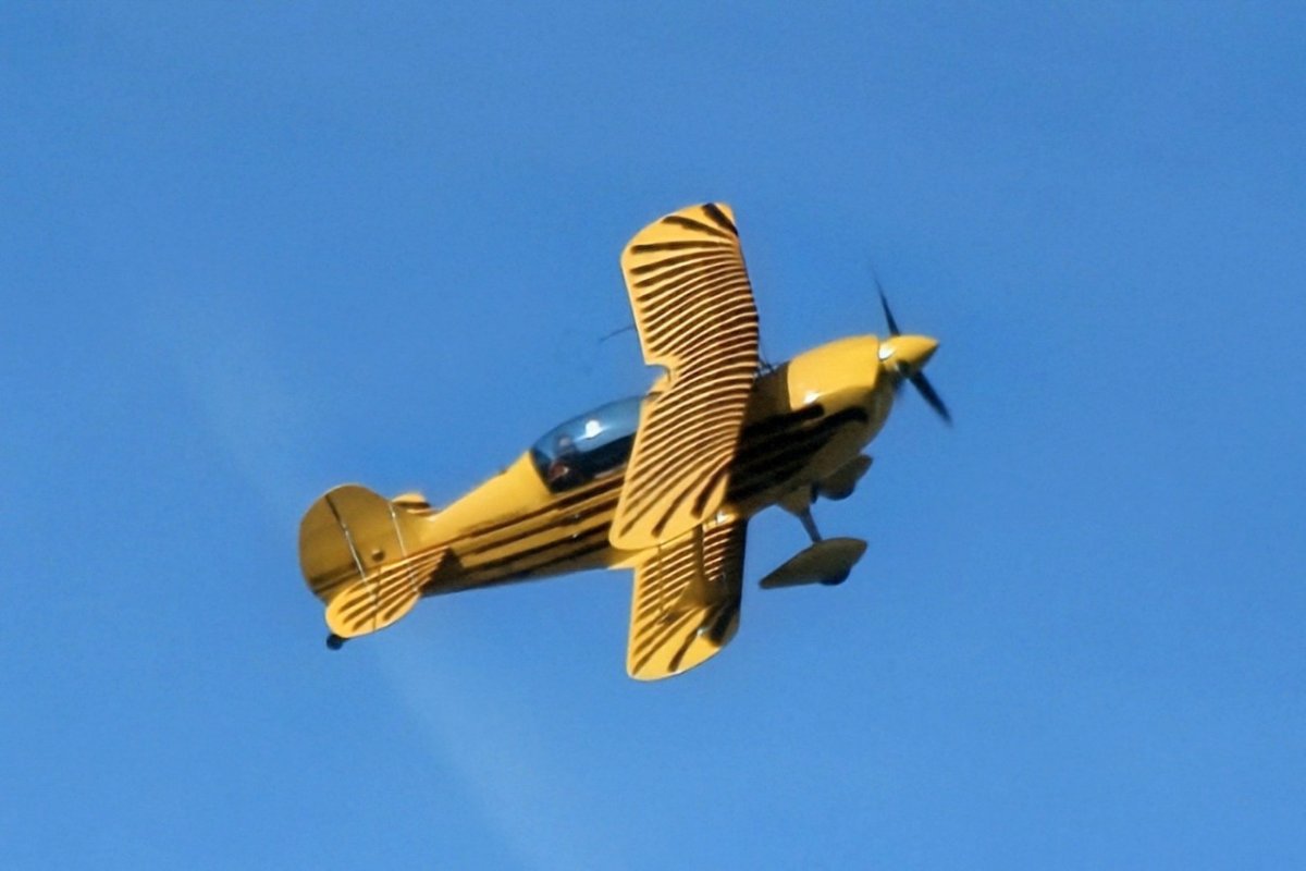 N828DM       Christen Eagle II